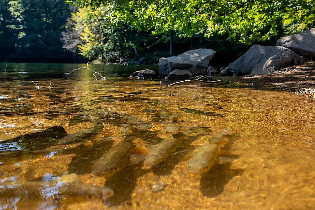 Jazero Morské oko - perla Vihorlatu - fotka 3