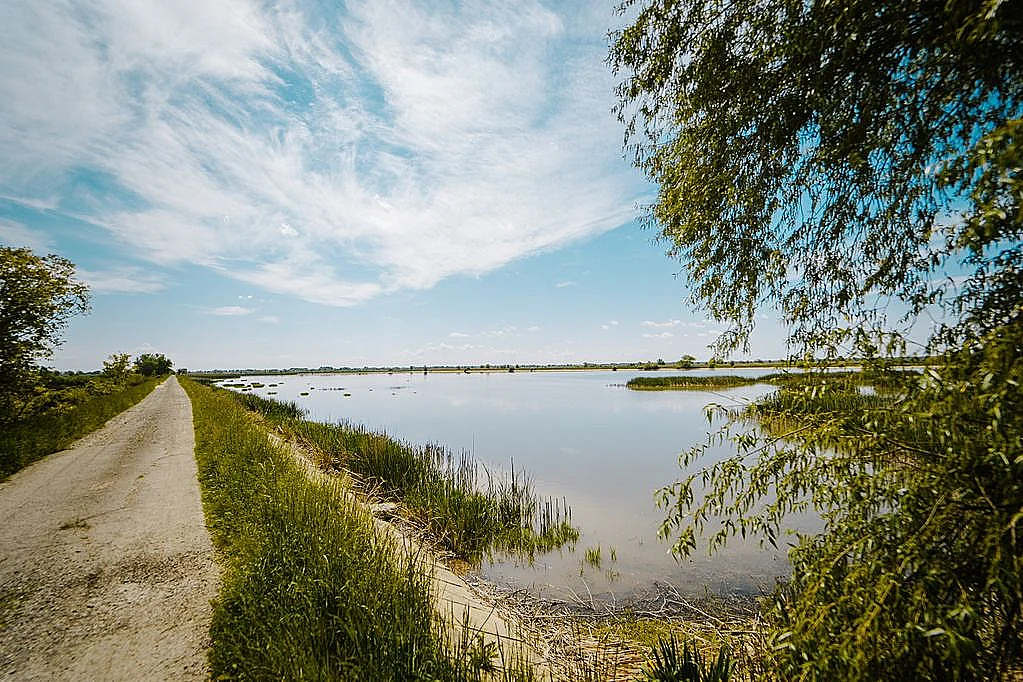 Pozorovanie vtákov v Senných rybníkoch - fotka 6