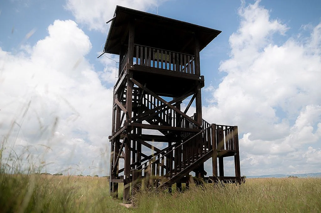 Pozorovanie vtákov v Senných rybníkoch - fotka 8