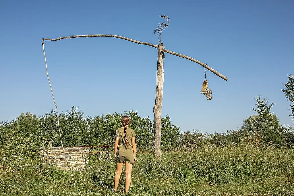 Pozorovanie vtákov v Senných rybníkoch - fotka 5
