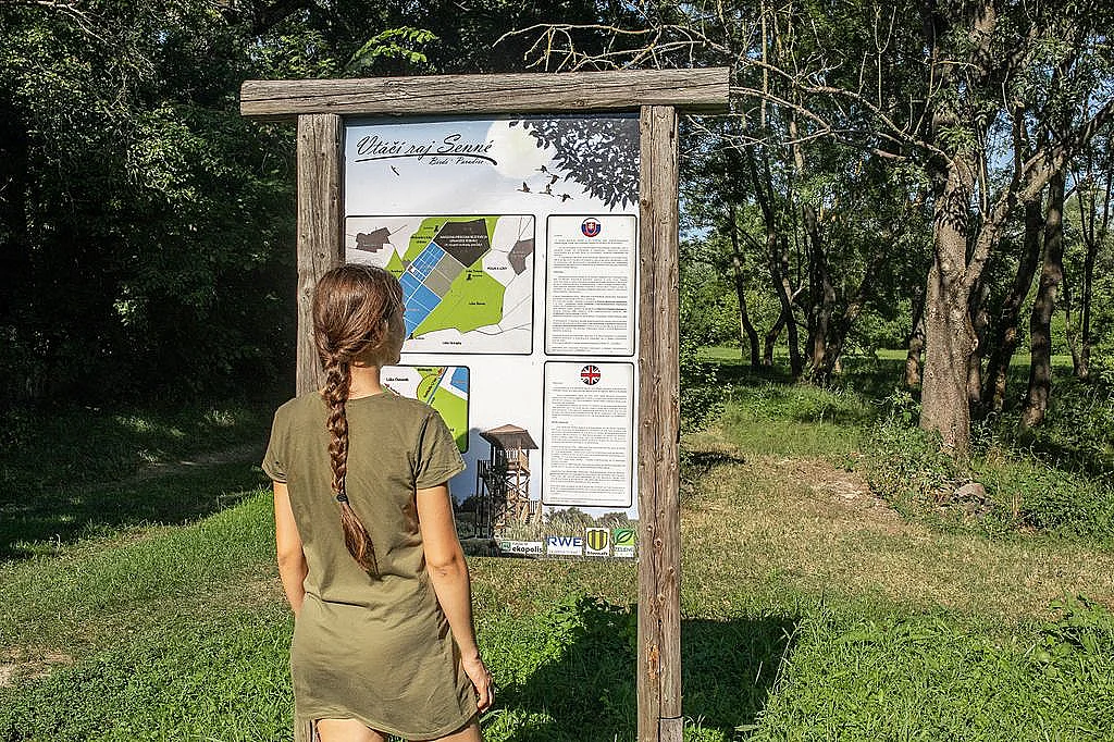 Pozorovanie vtákov v Senných rybníkoch