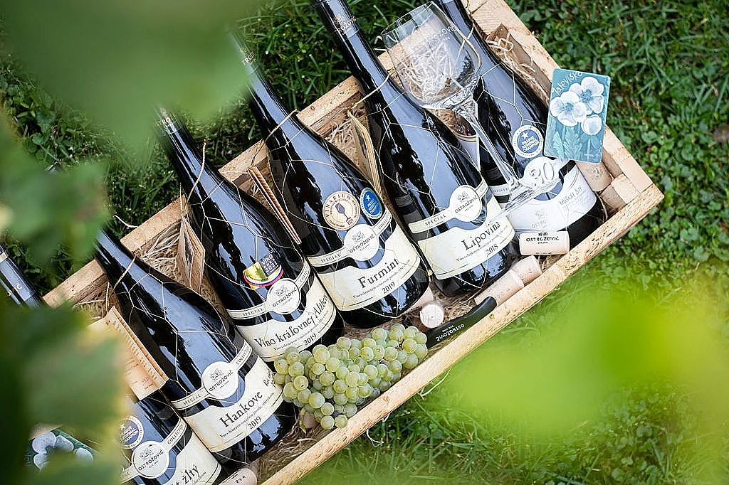 Tokaj Weinkeller - fotka 3