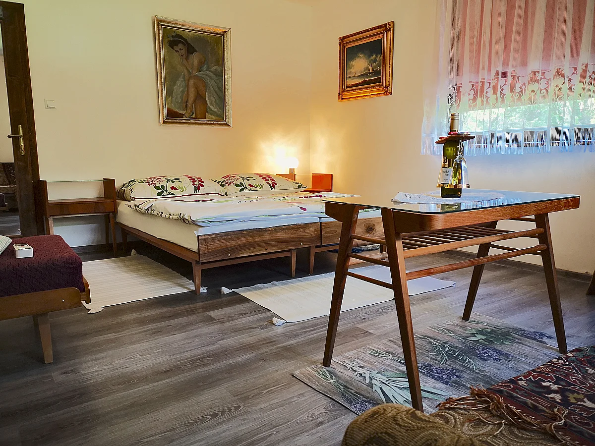 Dvojlôžková izba Retro